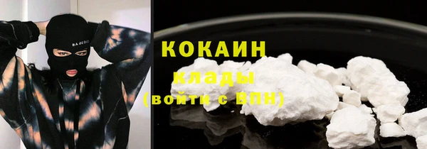 кокс Арсеньев