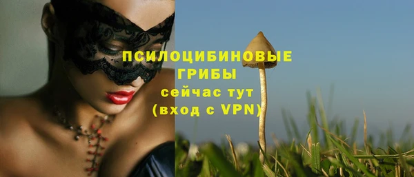 первитин Армянск