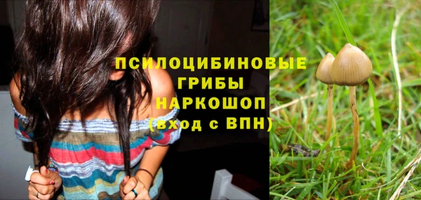 кокс Арсеньев